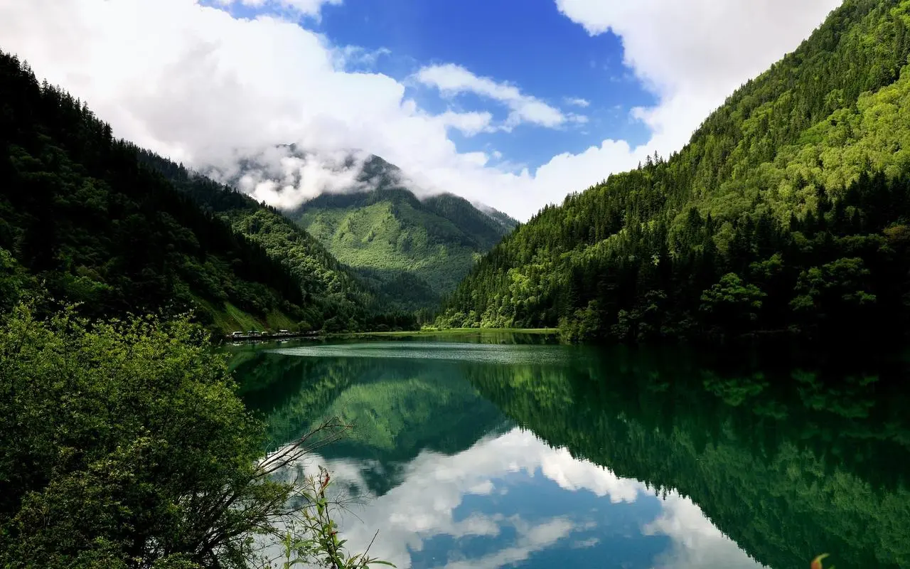 高端高性能